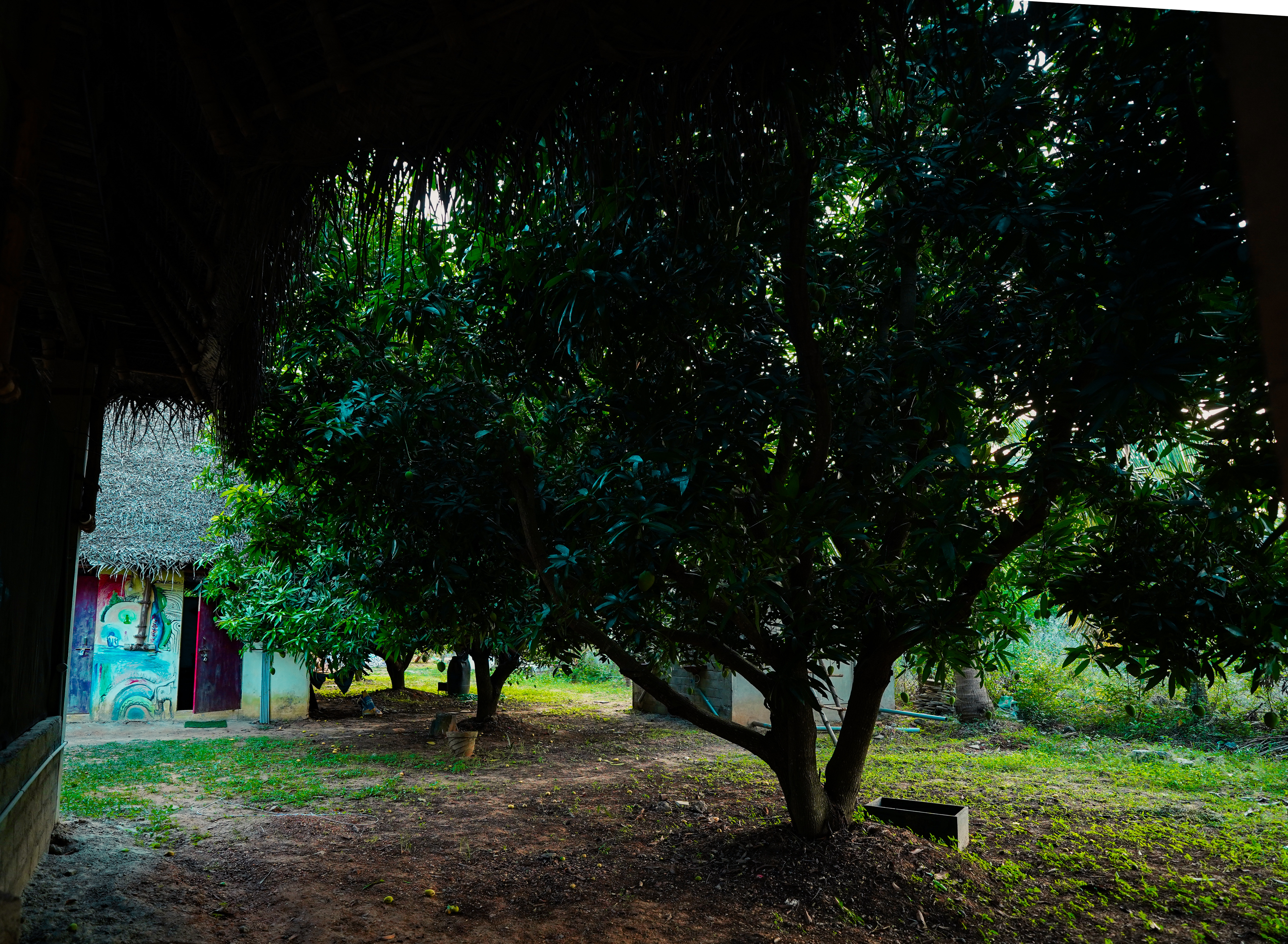 Relaxed space at Uyir Together